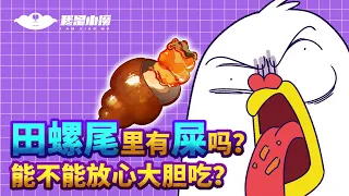 【小魔】田螺里黄色的东西是屎吗？能不能放心大胆吃？