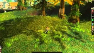 Helcular's Revenge - Jame's Horde Leveling guide - WoW Classic