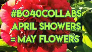 April showers= May Flowers #bo40collabs