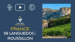 09 Languedoc-Roussillon | France🍇Online Wine Courses ➡️ with QUIZ