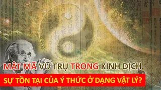 Mật mã vũ trụ trong Kinh Dịch Sự tồn tại của ý thức ở dạng vật lý? - Vạn vật giác ngộ