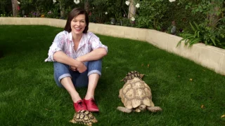 Should kids have pet turtles? Actress Milla Jovovich gives us the answer!