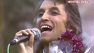 Павло Дворський – «Смерекова хата» / Червона рута–1989 / #RutaFEST