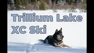 The Best way to get down to Trillium Lake | Cross Country Skiing on Mt Hood