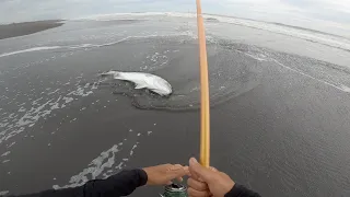 Lihatlah berapa besar ikan yang saya dapat mancing dari pinggir pantai