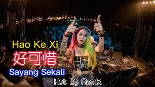 Hao Ke Xi 好可惜 (DJ Remix) Sayang Sekali (Pinyin Indonesian Translation)