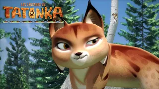 🐺 Tatonka en Français | Episodes Complets | L'ancêtre de Wahi | Dessin animés