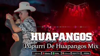 Popurri De Huapangos Mix ~ Puros Huapangos Para Bailar Mix 2024 ~ Mix de Huapangos 2024