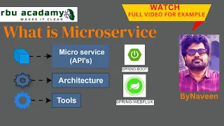 what is microservice in springboot by Naveen | #java #springboot #microservices #naveen