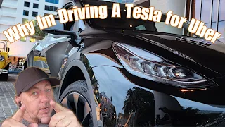 Why I'm Driving A Tesla For Uber | Uber Driver Lyft Driver