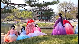 경복궁은 꽃대궐/꽃보다 한복이 아름다운 외국인들 몰려와Gyeongbokgung Palace  Seoul Korea Travel