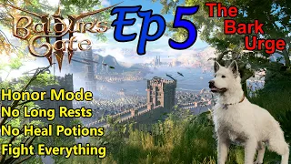 Can I Beat Baldurs Gate 3 [Honor Mode] with these 9 restrictions? | Ep 5