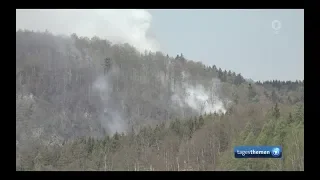 Dürre - Waldbrände - Tagesthemen ARD 24.04.2019