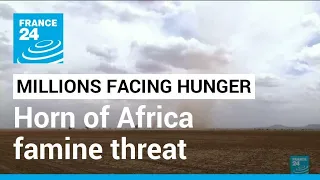 Horn of Africa famine threat: Millions facing hunger due to drought, fighting (UN) • FRANCE 24