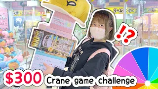 COLOR WHEEL chooses what I get!? $300 Crane Game Challenge!!