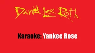 Karaoke: David Lee Roth / Yankee Rose