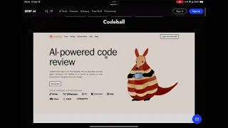 Codeball: Why I Fear for AI PR Review Companies