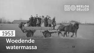 📼 Eerste beelden van de Stormramp (1953)