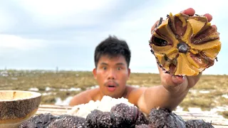Mukbang Giant Sea Urchin with Spicy Sauce (Eating Delicious) Boy Tapang 🫐🥵🌶️