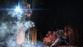 Sister Friede VS Slave Knight Gael