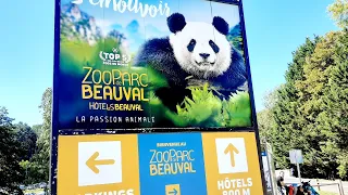 Zooparc de beauval part 2