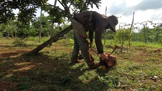 The Central Highlands where agricultural products converge for export