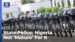 Nigeria Not 'Mature' For State Police, IGP Insists