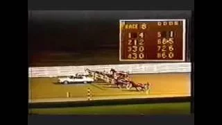 1995 Yonkers Raceway HIS MAJESTY International Trot