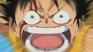 luffy and ace im ur brother