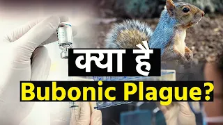 Bubonic Plague China: जानिए क्या है Bubonic Plague? | What is Bubonic Plague?