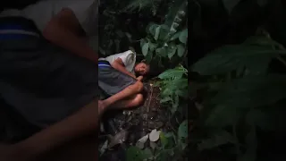 Pendaki Mamasa Sulbar menemukan orang tersesat di Gunung  gede pangorango Bogor