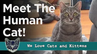 Couple Adopt A Stray Cat And Discover He’s Not Like Other Cats!