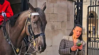 HE DID WARN HER! Horse plays 'Dare' with a tourist - and wins! King's Guard not amused!