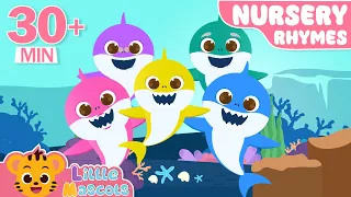 Baby Shark + Baa Baa Black Sheep + more Little Mascots Nursery Rhymes & Kids Songs