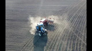 USŁUGOWY SIEW KUKURYDZY 2022/ NEW HOLLAND T7 270 & HORSCH MAESTRO 8-RZĘDÓW Z GR LIP/ W AGRO PIASKACH