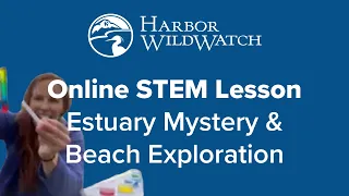 Online STEM Lesson - Estuary Mystery