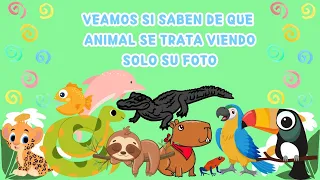 Animales del Amazonas