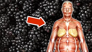 Du wirst überrascht sein was passiert, wenn du JEDEN TAG Brombeeren isst 💥 (WOW) 🤯