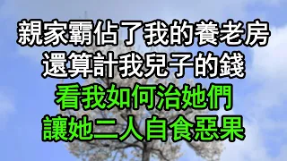 親家霸佔了我的養老房，還算計我兒子的錢，看我如何治她們，讓她二人自食惡果#深夜淺讀 #為人處世 #生活經驗 #情感故事