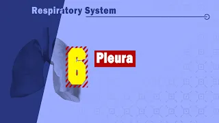 06. Pleura