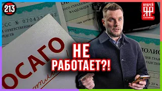 ОСАГО не работает? /// Социальный Ярдрей #9