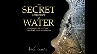 The Secret Intelligence of Water - Interview with Veda Austin