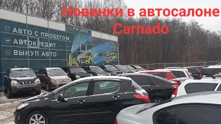 #буавто в автосалоне "Carnado" в Санкт-Петербурге, обзор ассортимента!