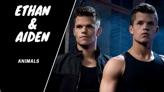 Teen Wolf / Ethan and Aiden / Animals