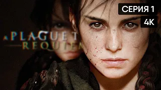 A Plague Tale: Requiem прохождение на русском и обзор #1 [4K]