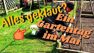Ein Gartentag im Mai / Was gibt es jetzt zu tun? / Pflanzen und säen im Freiland und im Gewächshaus