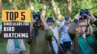 Best Binoculars for Bird Watching [2024] - Top 5 Picks