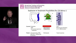 Clinical Approaches to the Effective Treatment of C. diff as an Infectious Disease