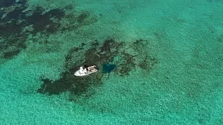 IFISH Abrolhos Islands