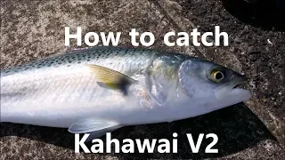 NZ Basic Fishing | Tutorial | How to catch Kahawai. V2